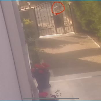 Gölcük Aras Kargo İşini Ciddiye Almıyor