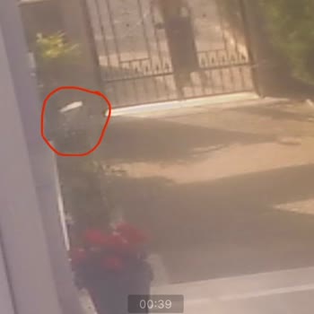 Gölcük Aras Kargo İşini Ciddiye Almıyor