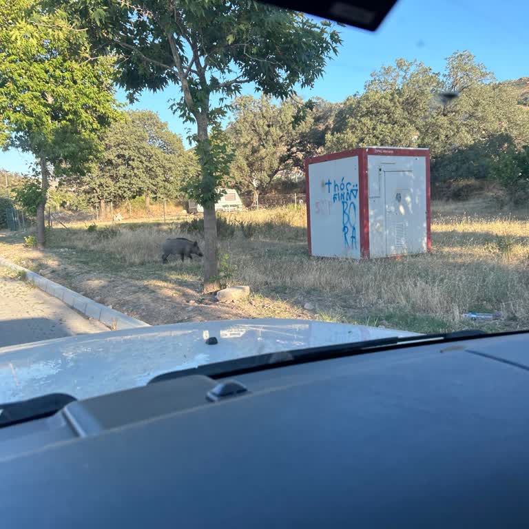Foça Belediyesi Eski Foçanın Bakımsız Ve Kirliliği