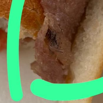 Kıl Yumağı Çıktı Usta Dönerci