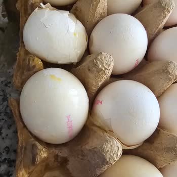 Getir Büyük Kırılan Yumurta, Özensiz Sipariş!