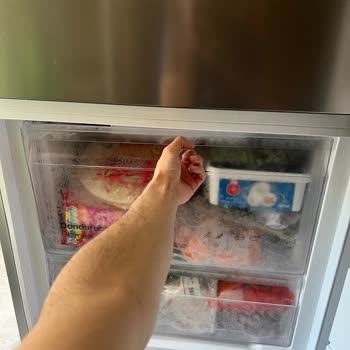 Vestel SEG Inox No Frost Buzdolabı Cx 482 Dondurucu Kapak Sorunu