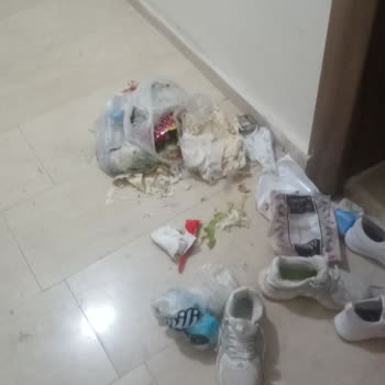 Koyulhisar TOKİ'de Köpek Sorunu Ve İlgisizlik