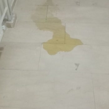 Koyulhisar TOKİ'de Köpek Sorunu Ve İlgisizlik