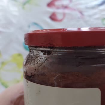 Harras Domates Salçası 710 Gr Böceklenme