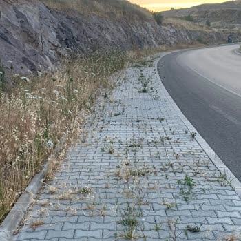 Bayraklı TOKİ Belediye Hizmetleri