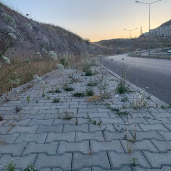 Bayraklı TOKİ Belediye Hizmetleri