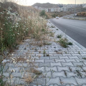 Bayraklı TOKİ Belediye Hizmetleri