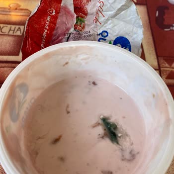 Sek Quark Yoğurt Küflü Çıktı