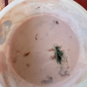 Sek Quark Yoğurt Küflü Çıktı