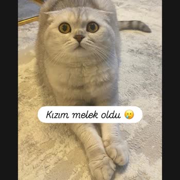 Eki aç