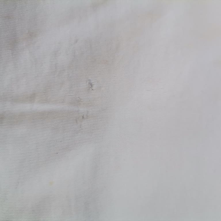 Benedetto Firma Ayıbı Kendi Hatalarını Kabul Etmiyorlar