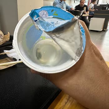 Torku Ayranın Mı Küflüsü Sağlıklı İyisi Peynirin 😡