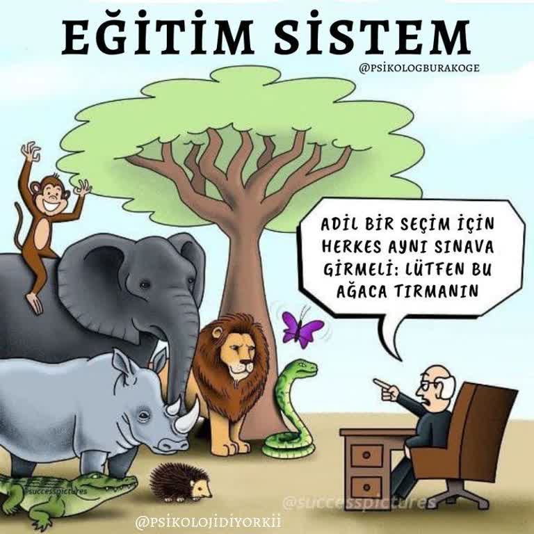 Milli Eğitim Bakanlığı (MEB) Vicdan Ve Merhamet Yoklaması