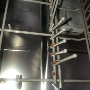 Samsung Bulaşık Makinesi Pas Sorunu