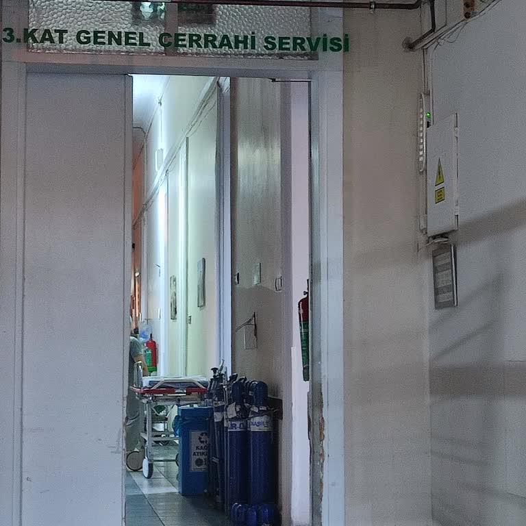 Haydarpaşa Numune Eğitim ve Araştırma Hastanesi Hemşirenin Siniri Ve Üslubu