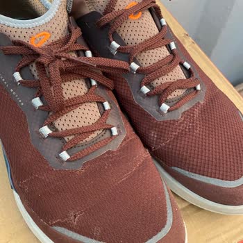 Ecco Ayakkabı Ecco Büyük Hayal Kırıklığına Uğrattı