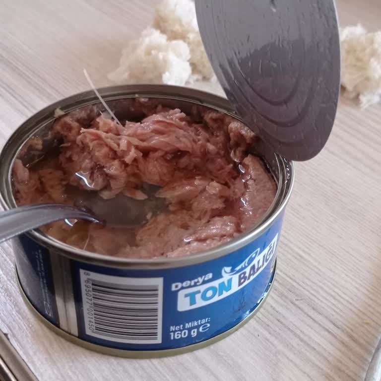 Derya Ton Balığı İçinden Plastik Maddeler Çıktı