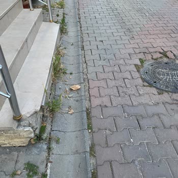 EyüpSultan Belediyesi Çöp Kamyonları Tahribatı-Duvar Yıkımı