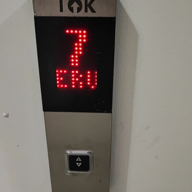 Tok Asansör Firması Pişmanlıktır