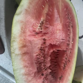 Fix Gross Market'te Kalitesiz Ürün Ve Kötü Müşteri Deneyimi