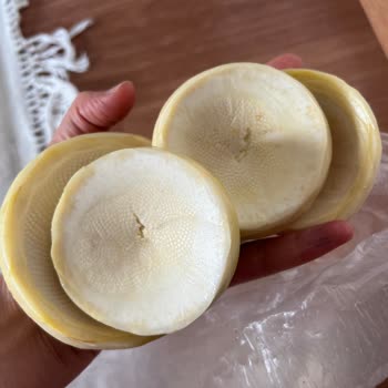 Enginar Mevsimi Enginar Siparişimde Hayal Kırıklığı Yaşadım