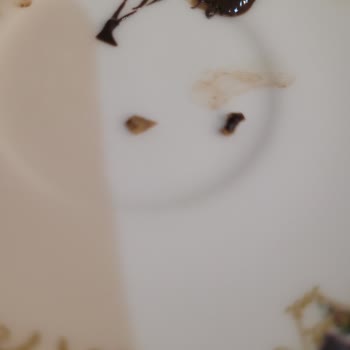 Nestle Damak Gece Çikolatası