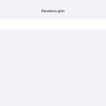 Apple Yazılım Güncellemesi Sorun