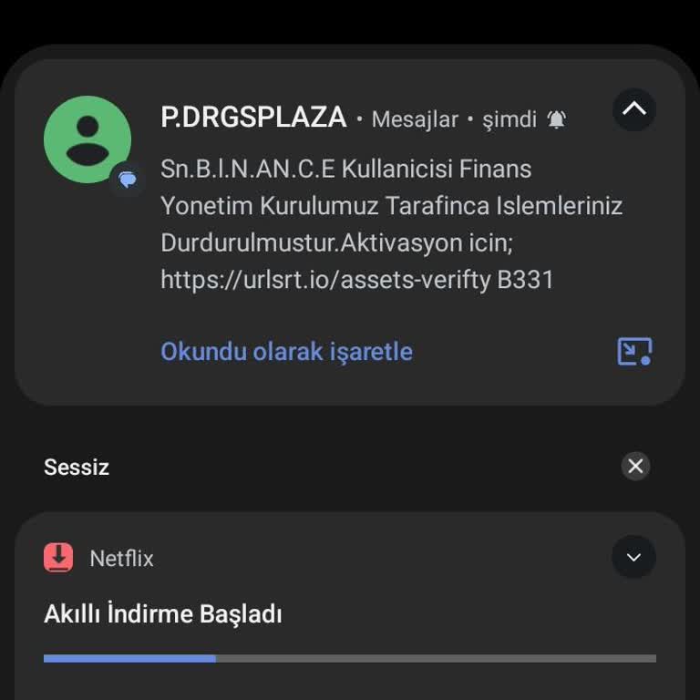 Binance Finans Yönetim Kurulumuz İşlemleriniz Kısıtlanmıştır