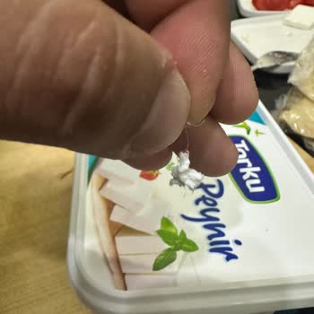 Torku Peynirin İçerisinden Çıkan Cisim