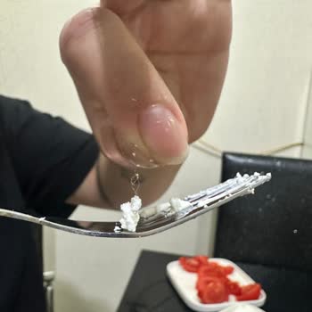 Torku Peynirin İçerisinden Çıkan Cisim