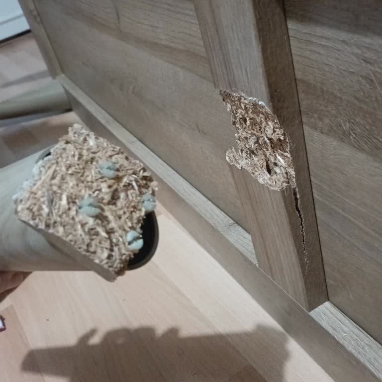 Bellona Konsol Ayağı Sunta İle Birlikte Kırıldı