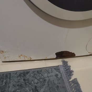 Bosch Marka Çamaşır Makinesi