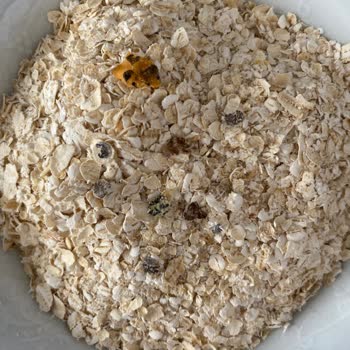 Eti Gıda Eti Lifalif. Şikayet. 665 Gram.