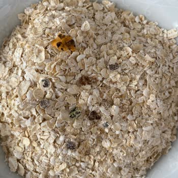 Eti Gıda Eti Lifalif. Şikayet. 665 Gram.