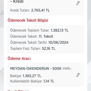 Ziraat Bankası Kredi Borcumu Ödememe İzin Vermiyor.