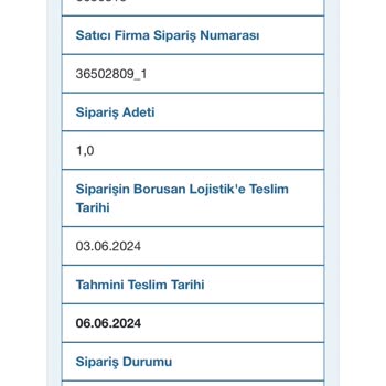Borusan Lojistik Aksayan Teslimat Süresi