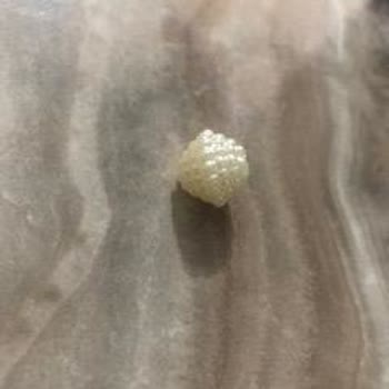 Received Wrong Beads from Uniquehobby Seller on N11 - Seeking Resolution