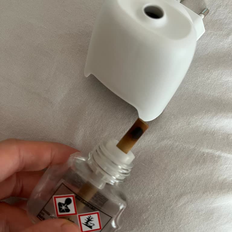 Raid Elektro Sinek Savarın İçin Yandı