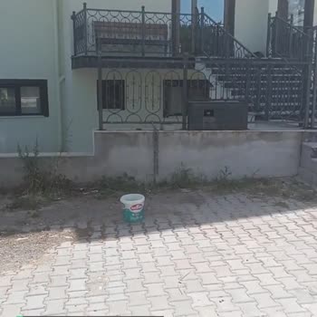 Ayvalık Belediyesi Pislik Ve Sinekler