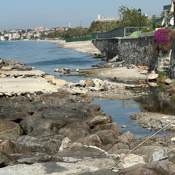 İBB - İstanbul Büyükşehir Belediyesi Selimpaşa Duruman Bölgesi Sahil Halk Sağlığını Tehdit Edecek Kadar Pis