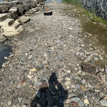 İBB - İstanbul Büyükşehir Belediyesi Selimpaşa Duruman Bölgesi Sahil Halk Sağlığını Tehdit Edecek Kadar Pis