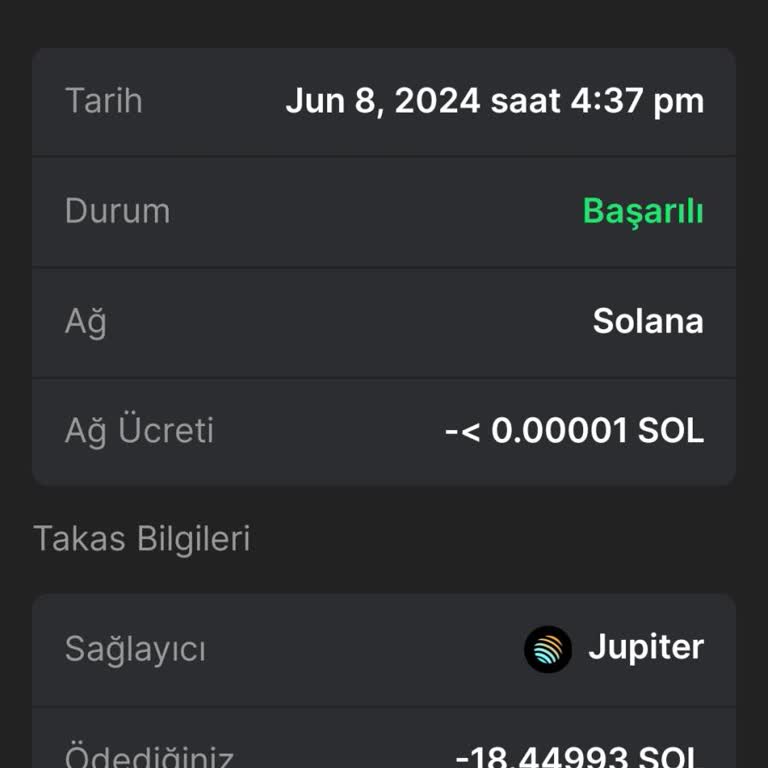 Solscan Diamond Hand Tate Sorunu