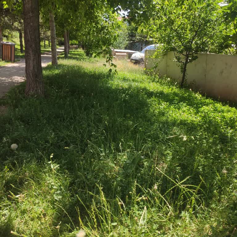 Eskişehir Büyükşehir Belediyesi Orhangazi Mahallesi Parklar.