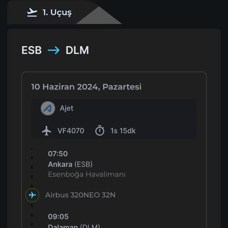 Ajet Checkın Sistem Arızası Mağduriyet Uçağa Alınmama Biletin Yanması