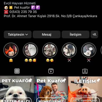 Pet Kuaför Sezer Balcı Köpeklerim Enfeksiyon Kaptı