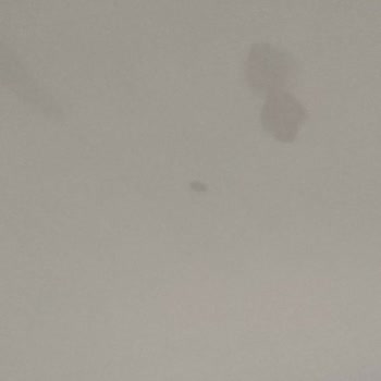 TOKİ Çatı Tamir Ve Su Akıntısı