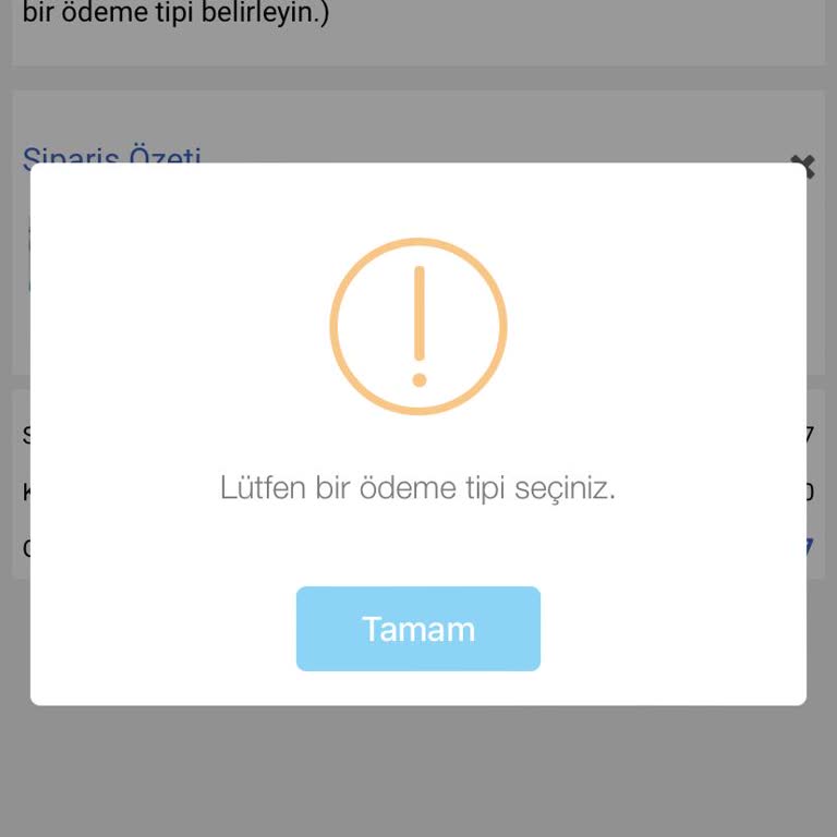 Fisher-Price Satın Alma Ödeme Hatası