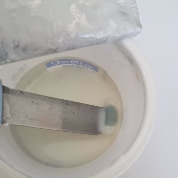Eker Ayranın İçinden Küf Çıktı