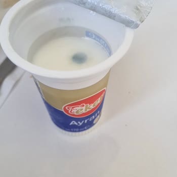 Eker Ayranın İçinden Küf Çıktı